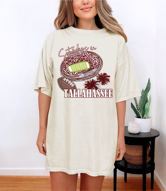 Florida State Stadium